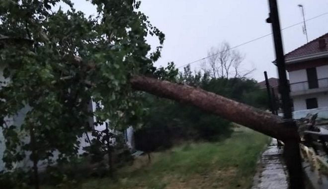 Κοζάνη: Χαλάζι και πτώση δέντρου σε σπίτι