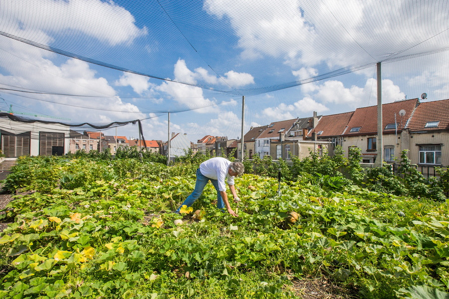 Αστικά αγροκτήματα… για το μέλλον των τροφίμων και του κλίματος