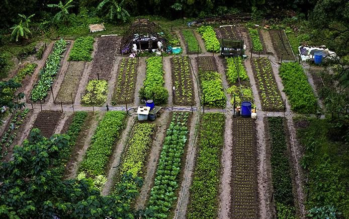 Αγροοικολογία: Μήπως είναι η λύση που πρέπει να εξετάσουμε;