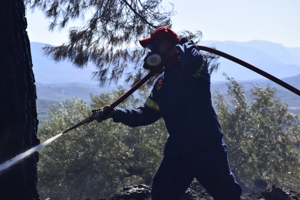 Σε ύφεση η πυρκαγιά στην Κάρυστο