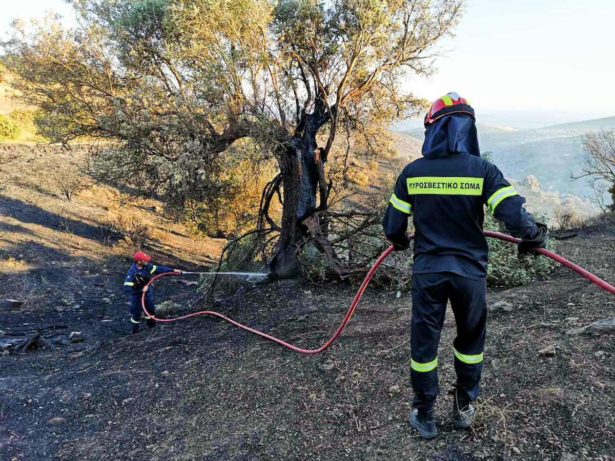 Συνελήφθη 20χρονος για την πυρκαγιά στο Πέραμα