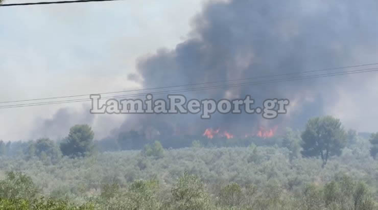 Μεγάλη πυργκαγιά στον Θεολόγο Φθιώτιδας [Βίντεο]