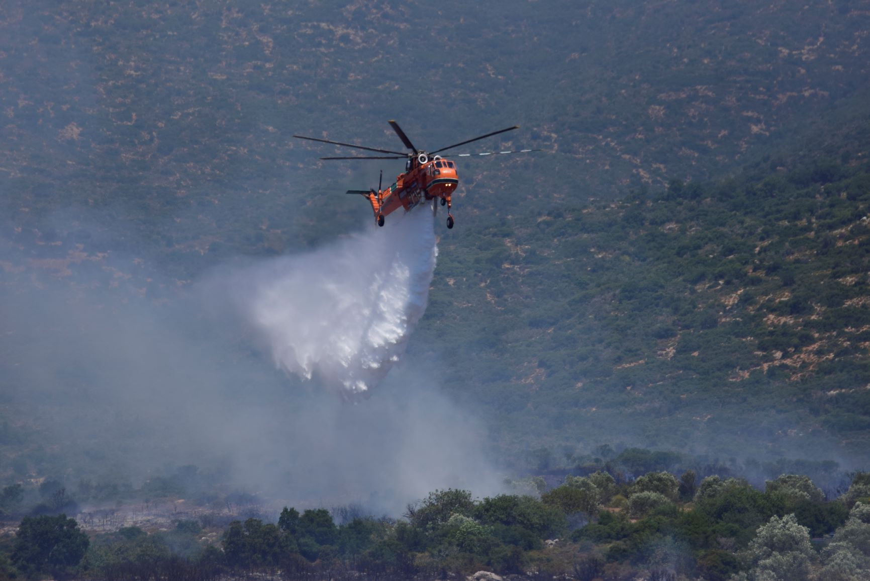 Δασική πυρκαγιά στο Τριφύλλι Αλεξανδρούπολης