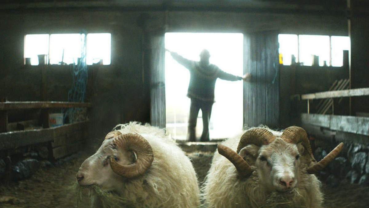 «Δεσμοί Αίματος» του Γκρίμουρ Χακόναρσον: Μία ταινία από την Ισλανδία με ψυχή και χιούμορ