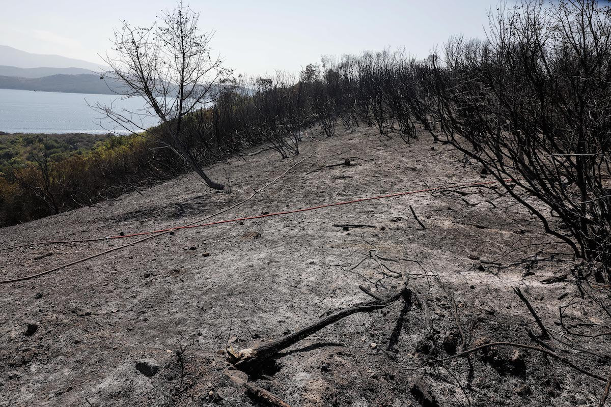 Μεγάλη φωτιά στον Ερημίτη Κέρκυρας: Πάνω από 300 στρέμματα δάσους έχουν γίνει στάχτη