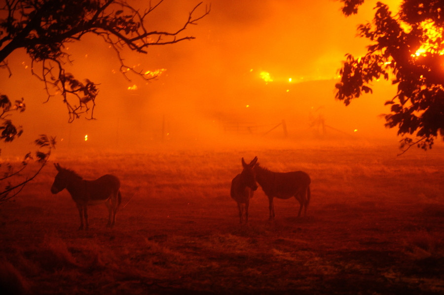 Μεγάλες πυρκαγιές, πρωτοφανής καύσωνας και χιλιάδες σπίτια χωρίς ρεύμα στην Καλιφόρνια