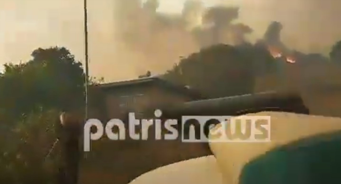 Δασική φωτιά στην Ηλεία – Ζητήθηκε εκκένωση του χωριού Δάφνη [Βίντεο]