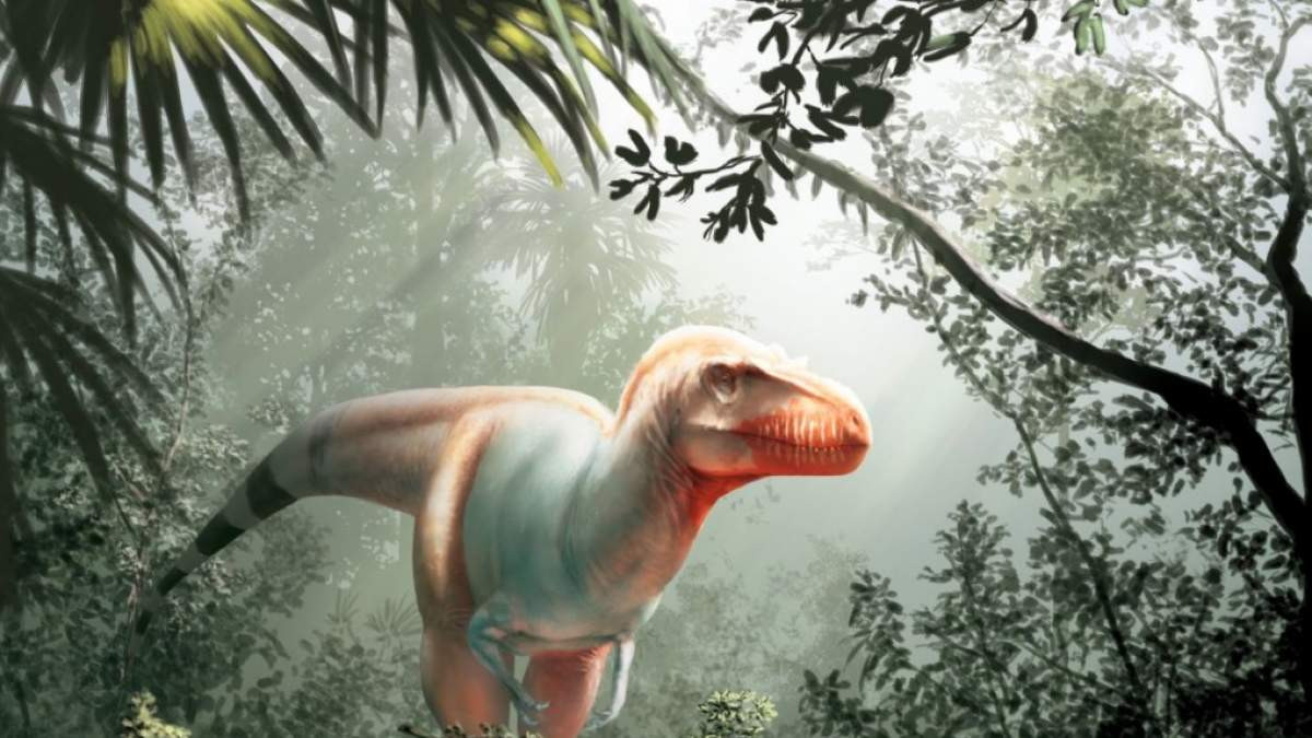 Δεν ήταν μόνο οι δεινόσαυροι: Ανακάλυψαν μαζική εξαφάνιση ειδών στη Γη πριν 233 εκατ. χρόνια