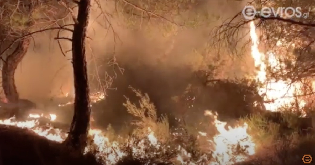 Στις φλόγες δασική περιοχή στον Έβρο – Σε κίνδυνο ο Εθνικός Δρυμός της Δαδιάς [Bίντεο]