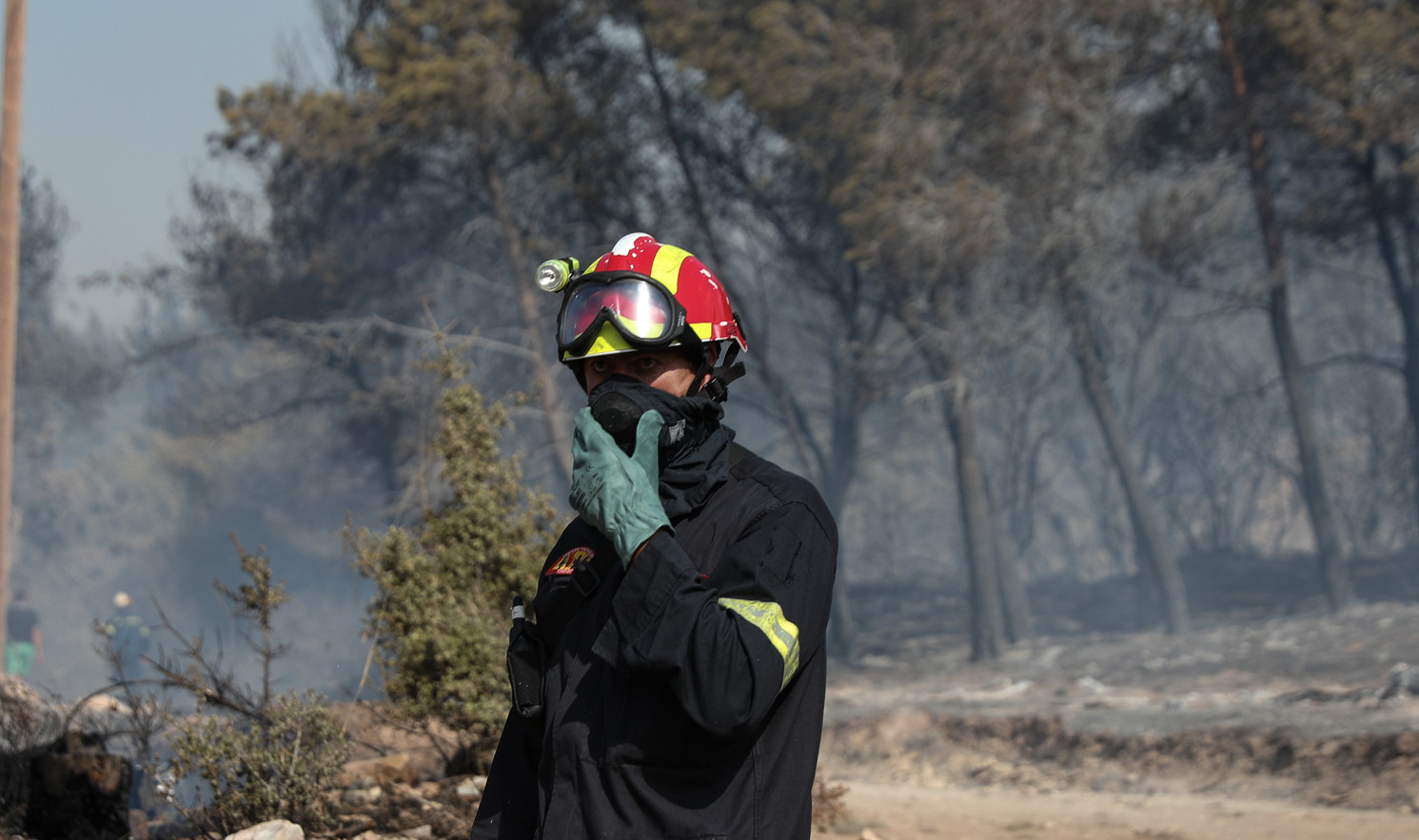WWF Ελλάς: Ο στρατός υπαίτιος για τη φωτιά στο σπάνιο δάσος της Δαδιάς