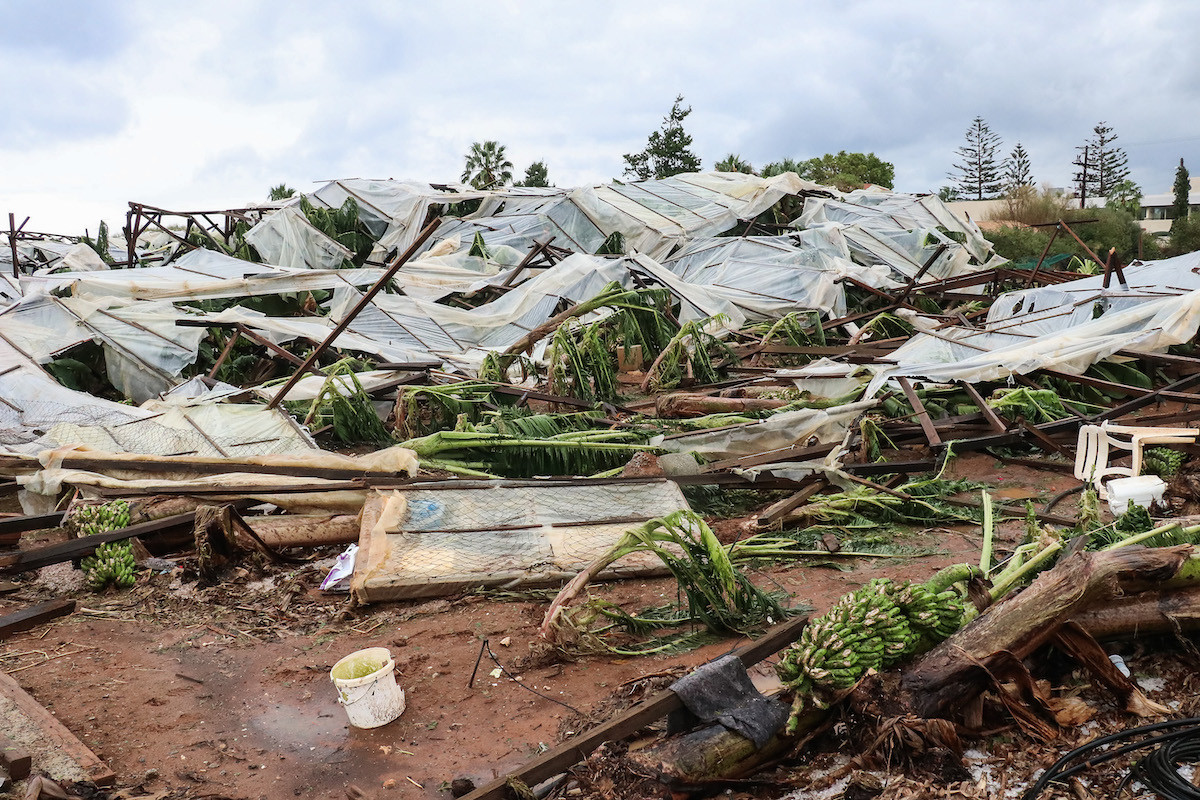 Εικόνες καταστροφής στην Κρήτη από το χαλάζι: Καταστράφηκαν ελιές και θερμοκήπια μπανάνας – Ζημιές σε καταστήματα