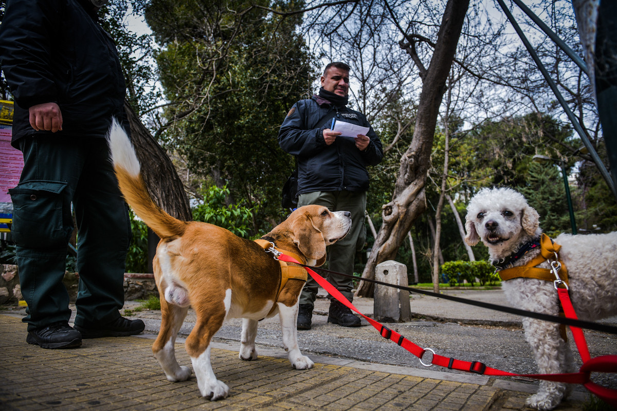Κηδεμόνες σκύλων: Η βόλτα με τον σκύλο στη γειτονιά δεν μπορεί να είναι παράπτωμα!