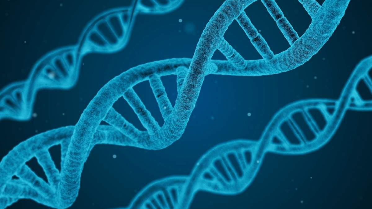 Ανακαλύφθηκαν πέντε γονίδια που αυξάνουν τον κίνδυνο σοβαρής Covid-19