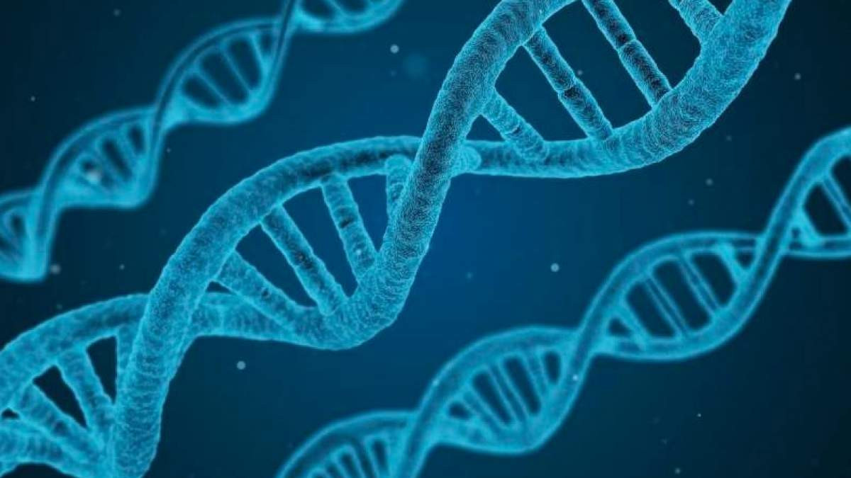 Μερικοί πανομοιότυποι δίδυμοι δεν έχουν πανομοιότυπο DNA