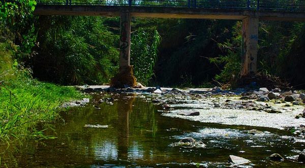 Το ΣτΕ ακύρωσε τα έργα στο Ρέμα της Πικροδάφνης