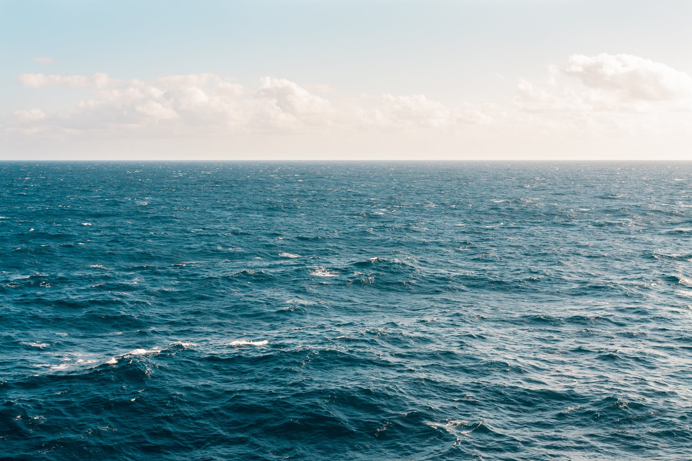 Αγγελόπουλος: «Δώστε μου ένα μέρος να κοιτάω. Ξεχάστε με στη θάλασσα»