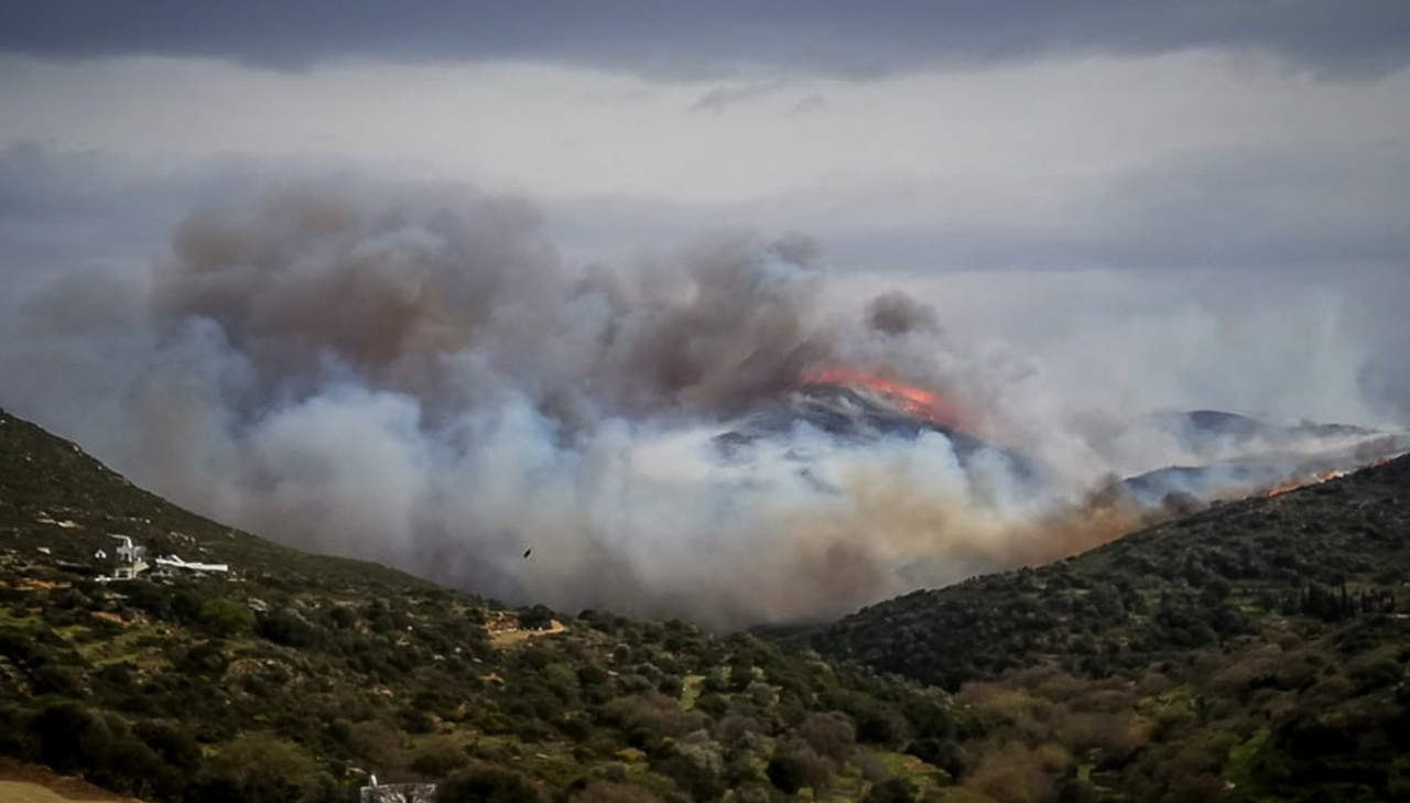 Άνδρος: Πρόεδρος κοινότητας απειλούσε να βάλει φωτιά λόγω των δασικών χαρτών [Βίντεο]