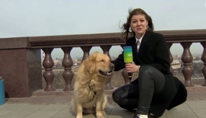 Σκύλος έκλεψε το μικρόφωνο ρεπόρτερ σε live μετάδοση [ΒΙΝΤΕΟ]