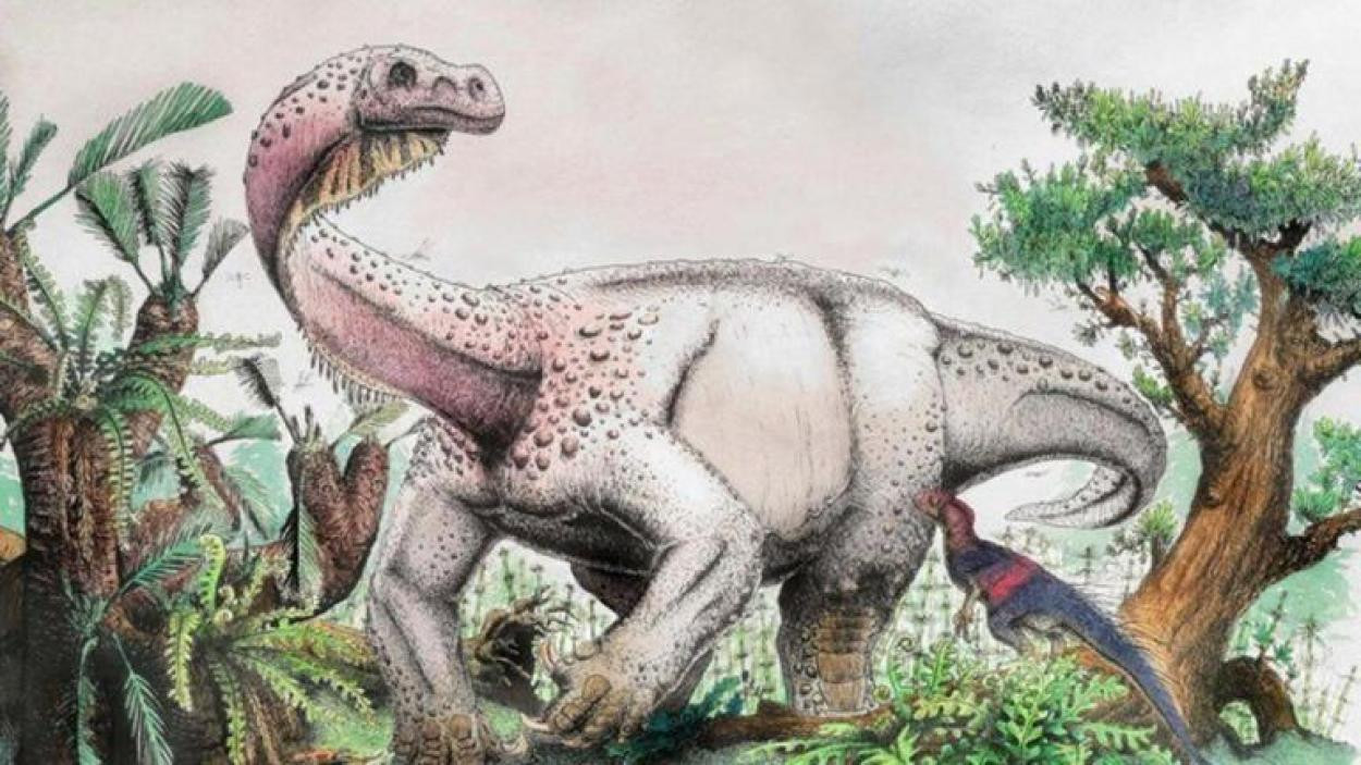 Περίπου 2,5 δισ. τυραννόσαυροι ήταν στη Γη την εποχή των δεινοσαύρων