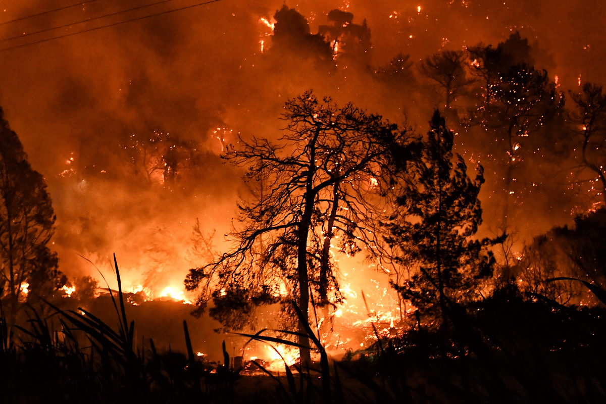 Εικόνες καταστροφής από τη φωτιά στο Σχίνο Κορινθίας