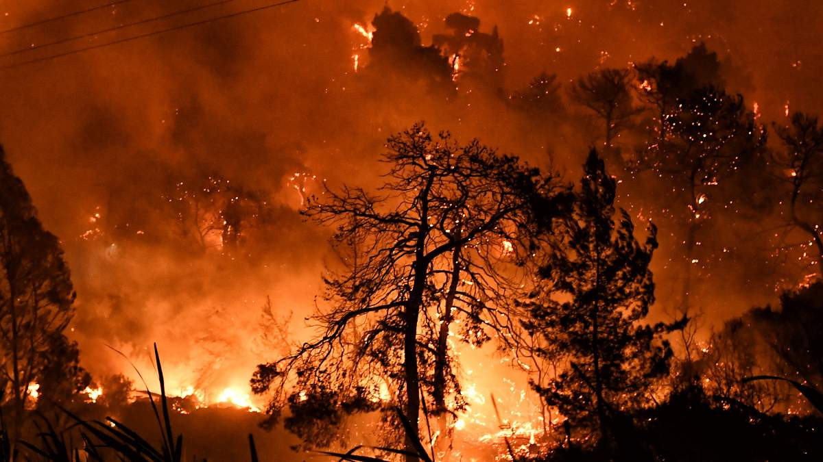 «Καμπανάκι» Λέκκα: Πολλαπλές οι επιπτώσεις από την πυρκαγιά στο Σχίνο