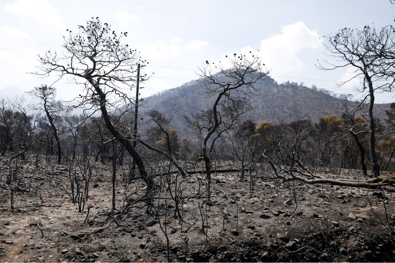 Κορινθία – Γεράνεια: Στάχτη πάνω από 71.000 στρέμματα δάσους