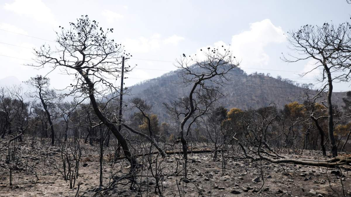 Στάχτη τα Γεράνεια Όρη: Η πιο καταστροφική δασική πυρκαγιά της τελευταίας δεκαετίας