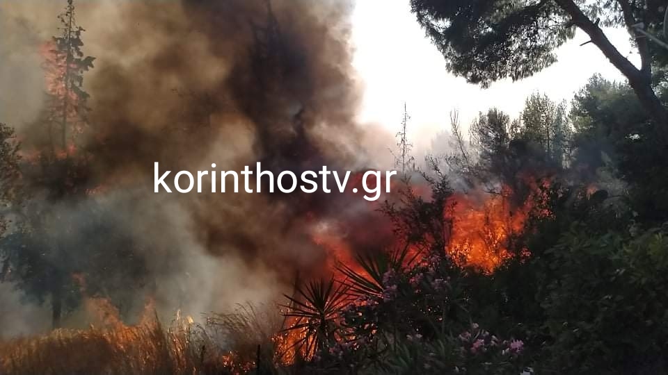 Πύρινα μέτωπα σε Φθιώτιδα, Κορινθία – Κλείνουν οδικά δίκτυα, σε κινδυνο κατοικημένες περιοχές [Βίντεο]