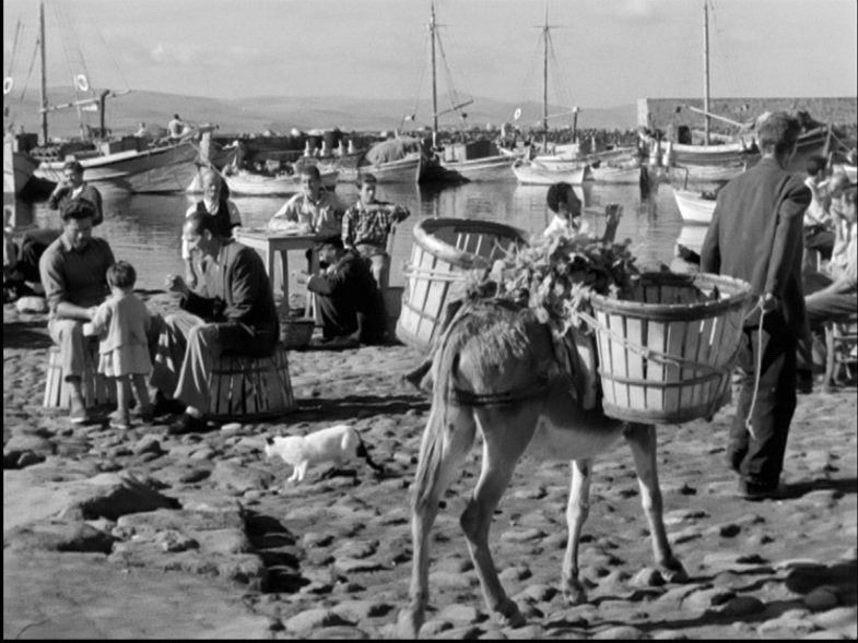 Το άγνωστο αριστούργημα «Ψαράδες και Ψαρέματα» στην Ταινιοθήκη της Ελλάδος