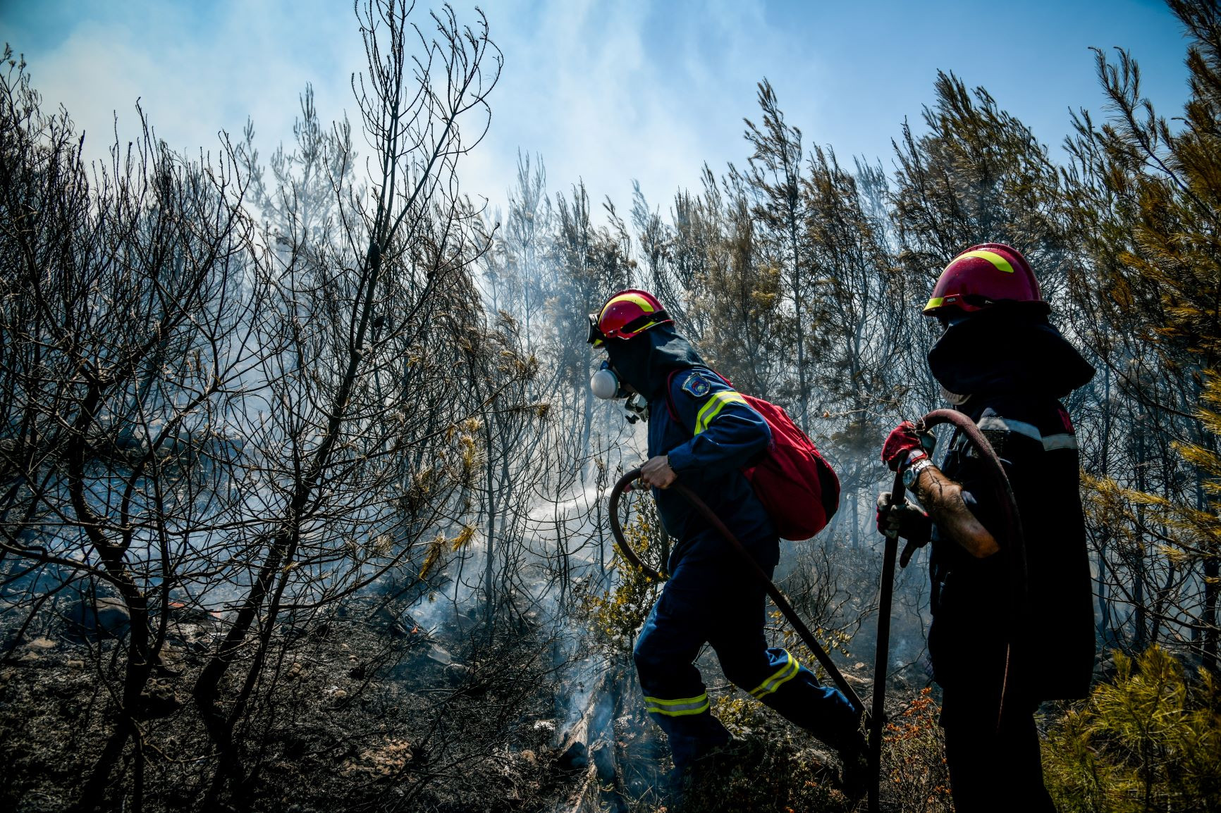 Αυξημένες κατά 160% οι δασικές πυρκαγιές στην Ελλάδα