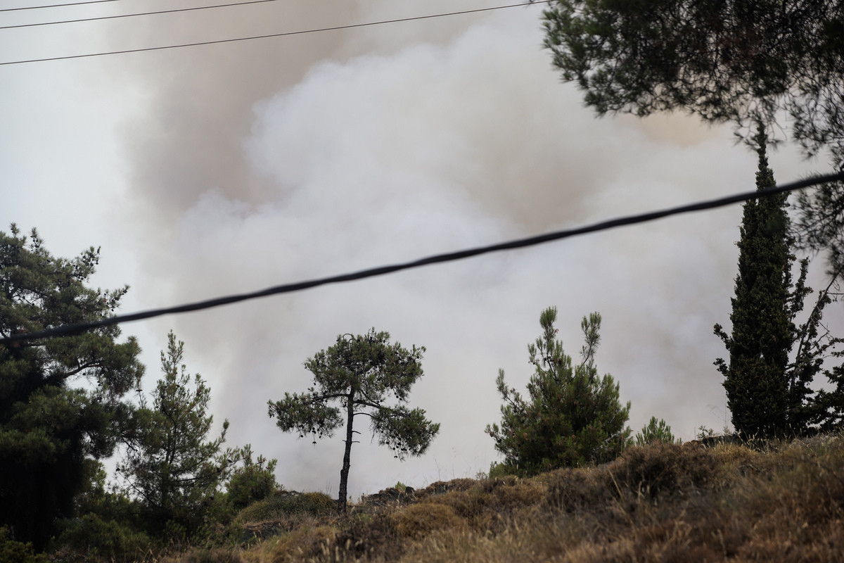 Σέιχ Σου: Κάηκαν τουλάχιστον 90 στρέμματα δάσους