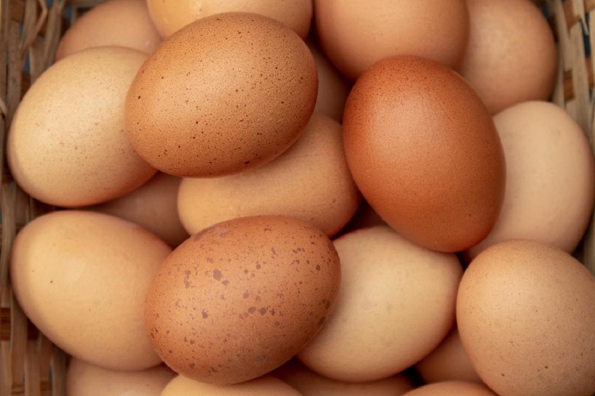 Ανακαλούνται τόνοι βιολογικού κοτόπουλου και δεκάδες χιλιάδες βιολογικά αυγά