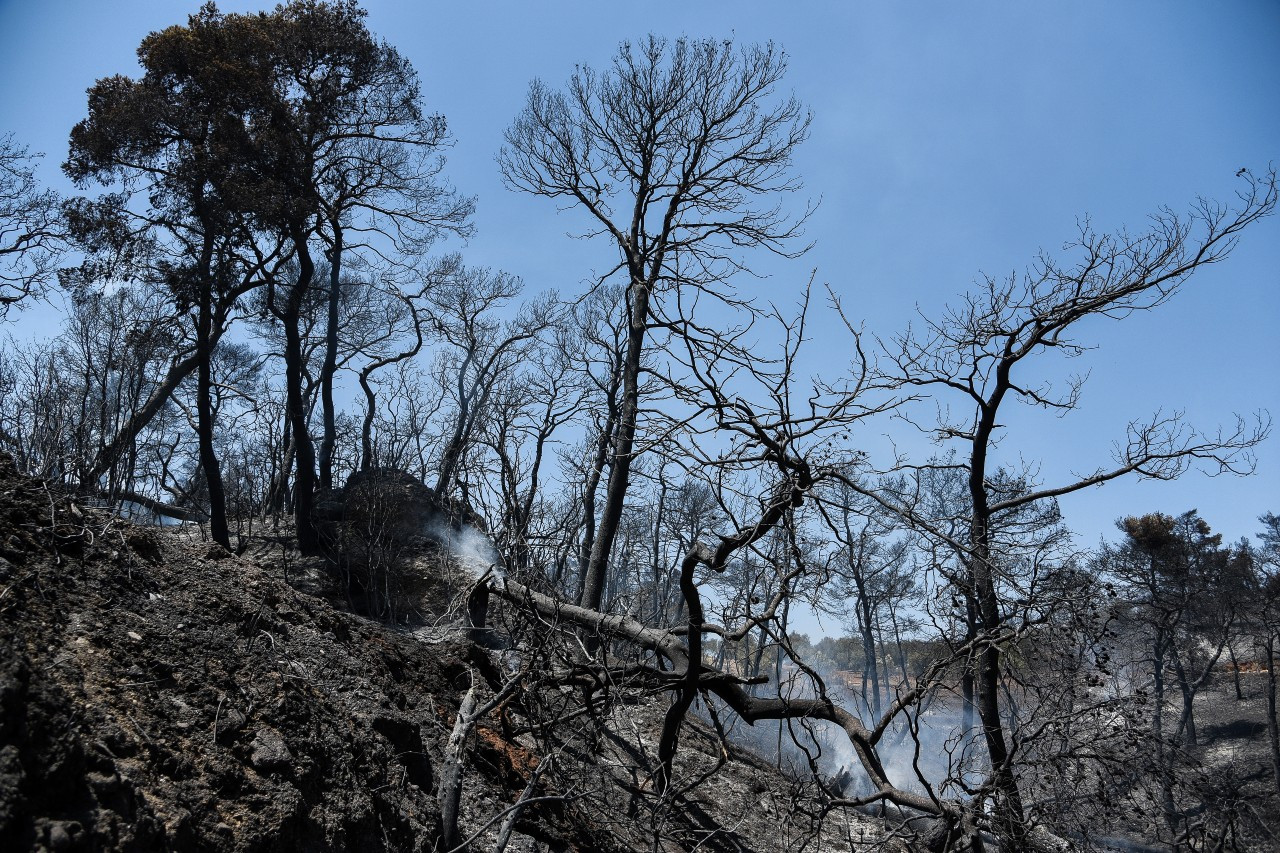 Ζερεφός: Περισσότερο καταστροφικές οι πυρκαγιές μετά τον καύσωνα