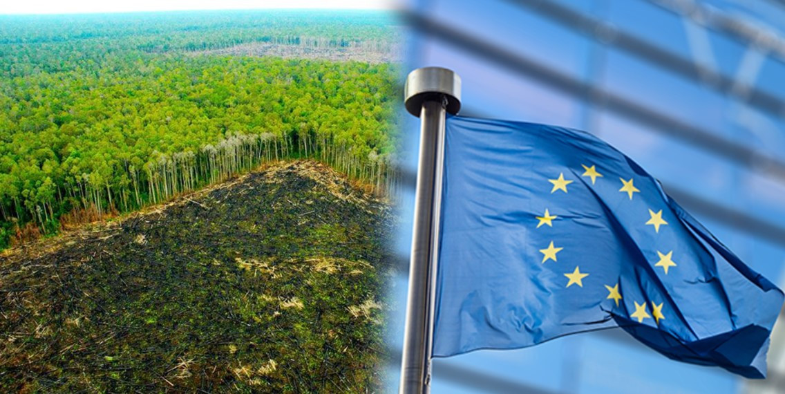 Συμφωνία μαμούθ ΕΕ-Mercosur: Θα βάλουν οι Ευρωπαίοι την υπογραφή τους στην καταστροφή του Αμαζονίου;