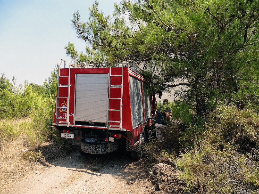 Σπάρτη: Φωτιά σε δασική έκταση στην περιοχή Καστανιά της Λακωνίας