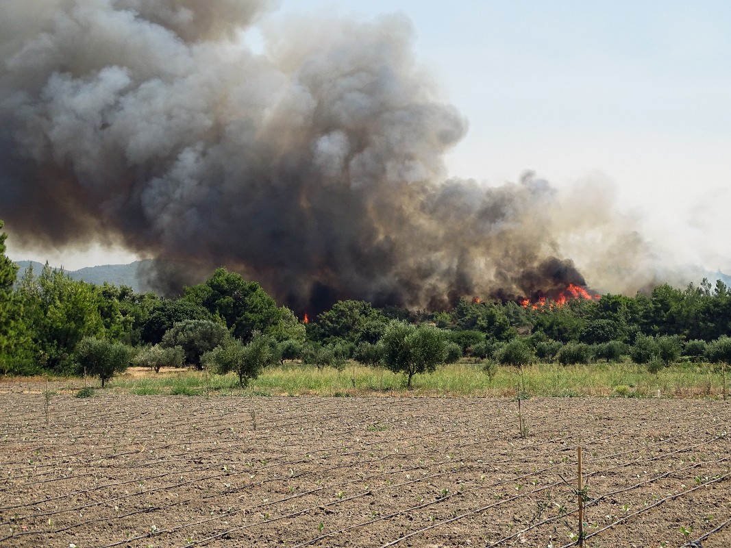 Μεσσηνία: Αναζωπυρώθηκε η φωτιά – Εκκενώθηκαν χωριά