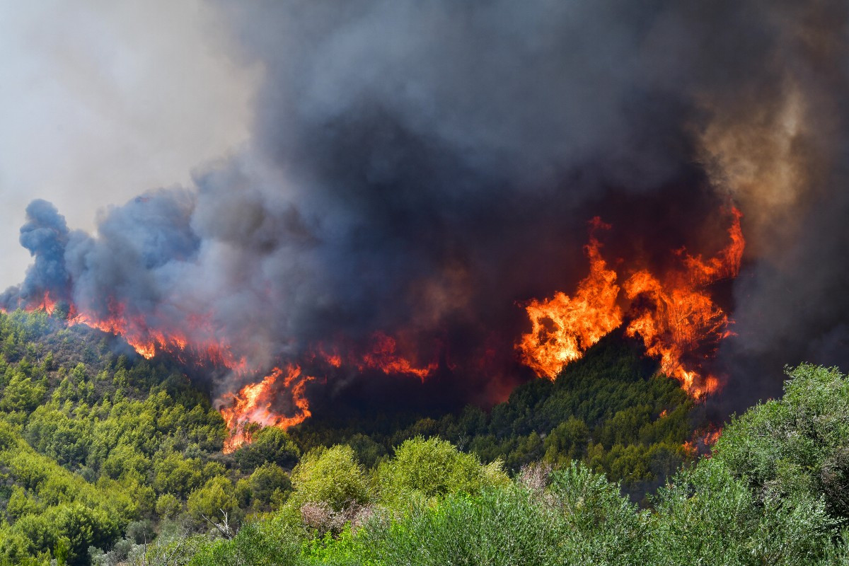Εθνικό Αστεροσκοπείο Αθηνών: Τουλάχιστον 60.000 στρέμματα κάηκαν σε 4 μέρες