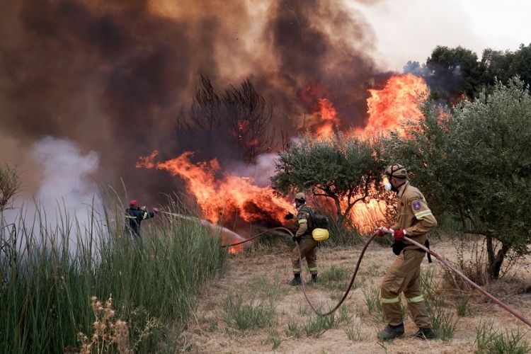 Φωτιά στη Μεσσηνία: Μπήκαν στο χωριό Καρνάσι οι φλόγες