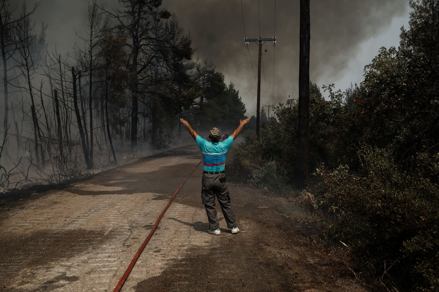 Λέκκας για Εύβοια: «Ξεχάστε την αναδάσωση σε 300.000 στρέμματα δάσους που έχουν καεί»