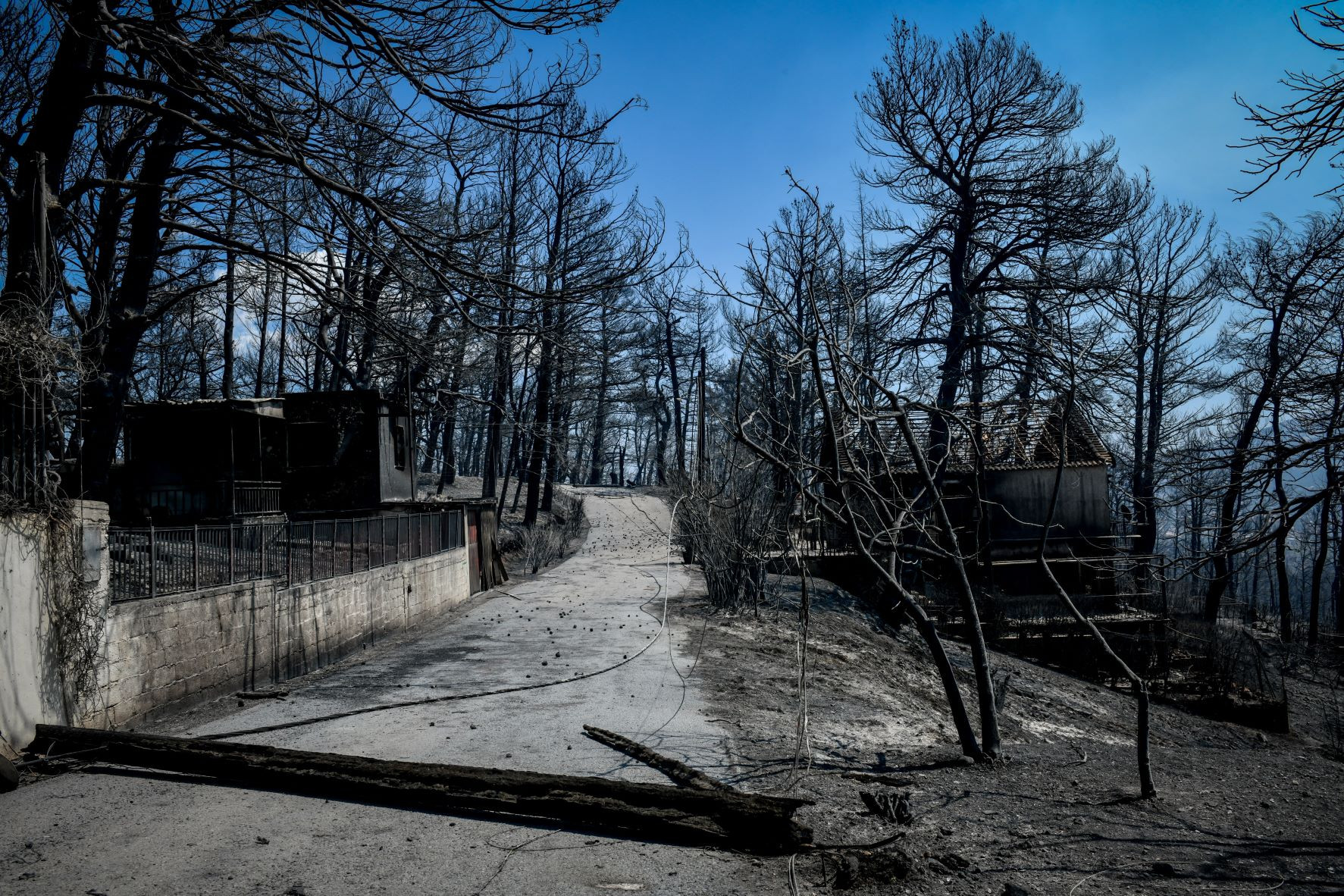 Καθηγητής Ραψομανίκης: Να αξιοποιηθεί άμεσα η έκθεση Γκολντάμερ για τις δασικές πυρκαγιές