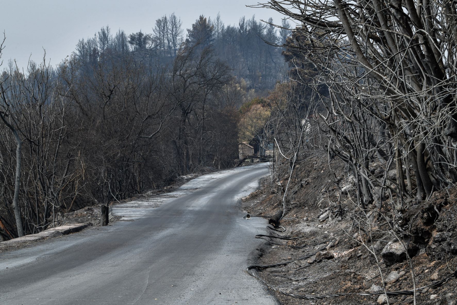 Πυρκαγιές υπό έλεγχο σε διάφορα σημεία της χώρας