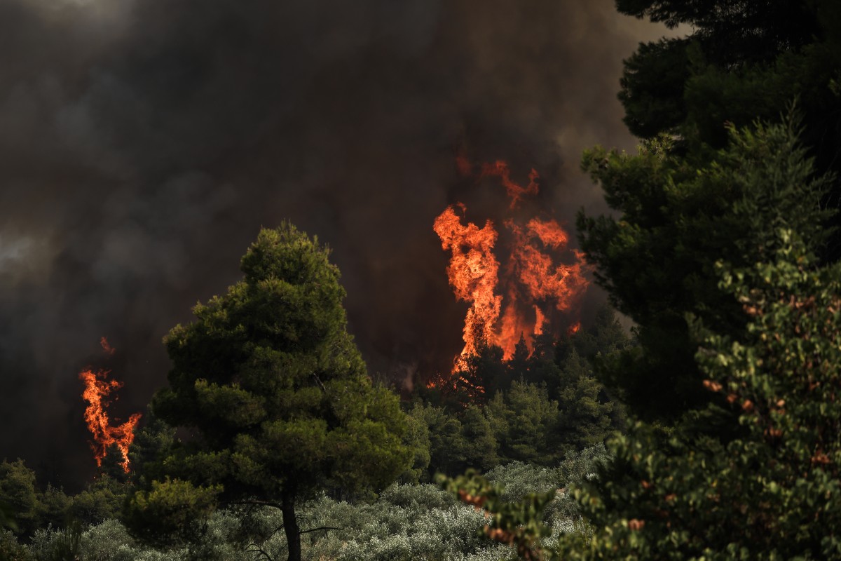 Νέες φωτιές σε Κόρινθο και Νότια Εύβοια