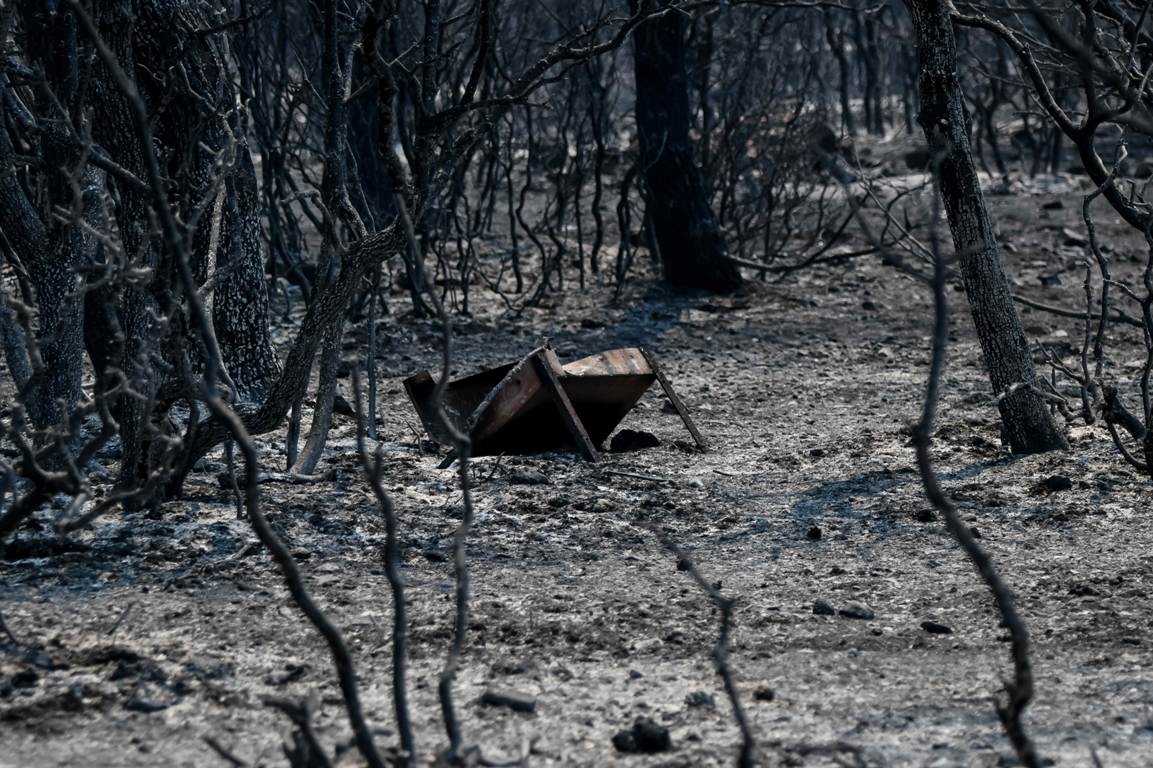 Φωτιά στα Βίλια: Πάνω από 80.000 στρέμματα καμένα – Διάσπαρτες εστίες και συνεχείς αναζωπυρώσεις