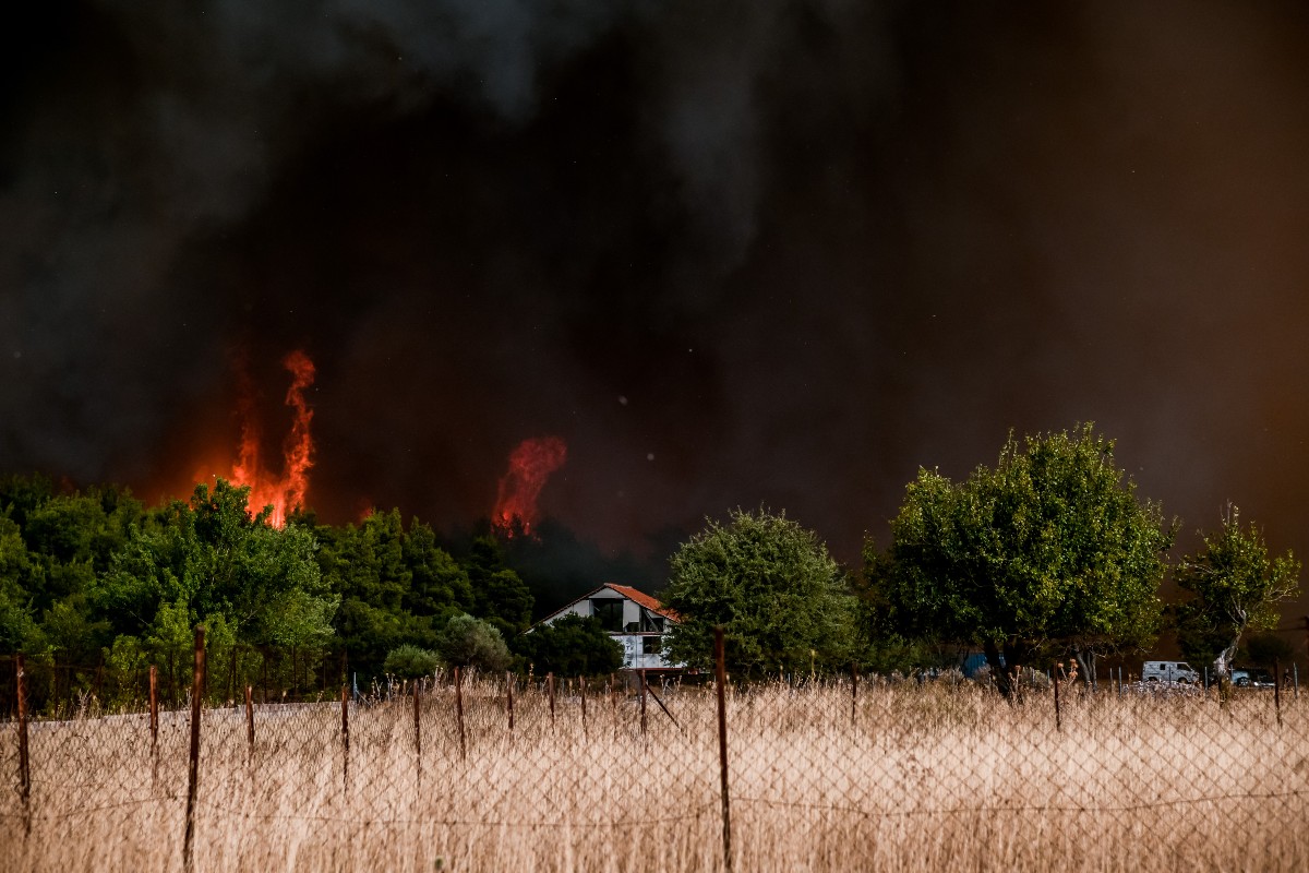 Φωτιές στην Αττική: 12 συλλήψεις και 155 προσαγωγές για εμπρησμό