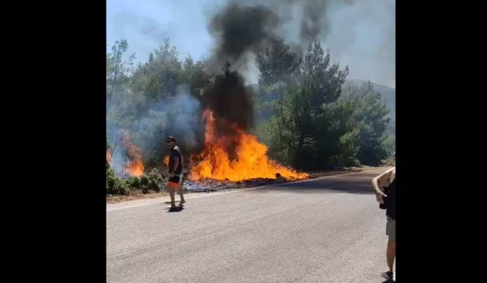 Πώς ξεκίνησε η φωτιά στα Βίλια (Βίντεο)