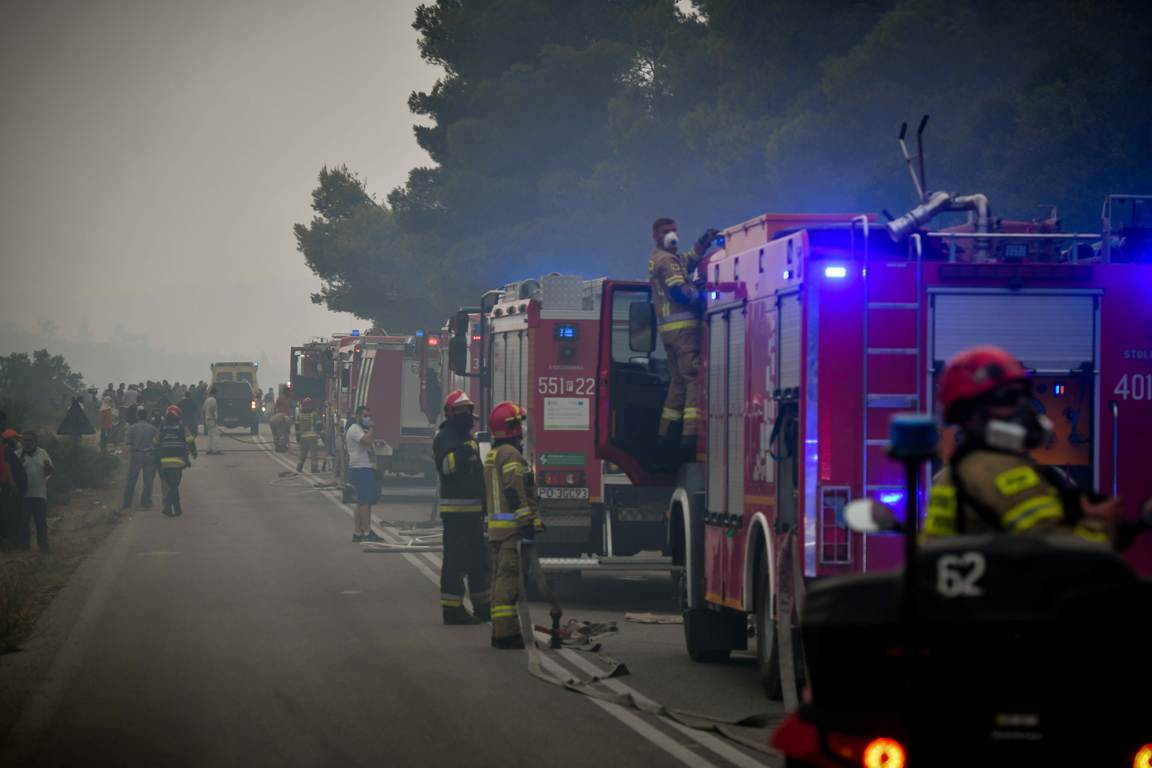 Πρόεδρος Πανελλήνιας Ένωσης Δασοφυλάκων: «Πότε επιτέλους θα σταματήσουν όλοι οι άσχετοι να συντονίζουν τη φωτιά»