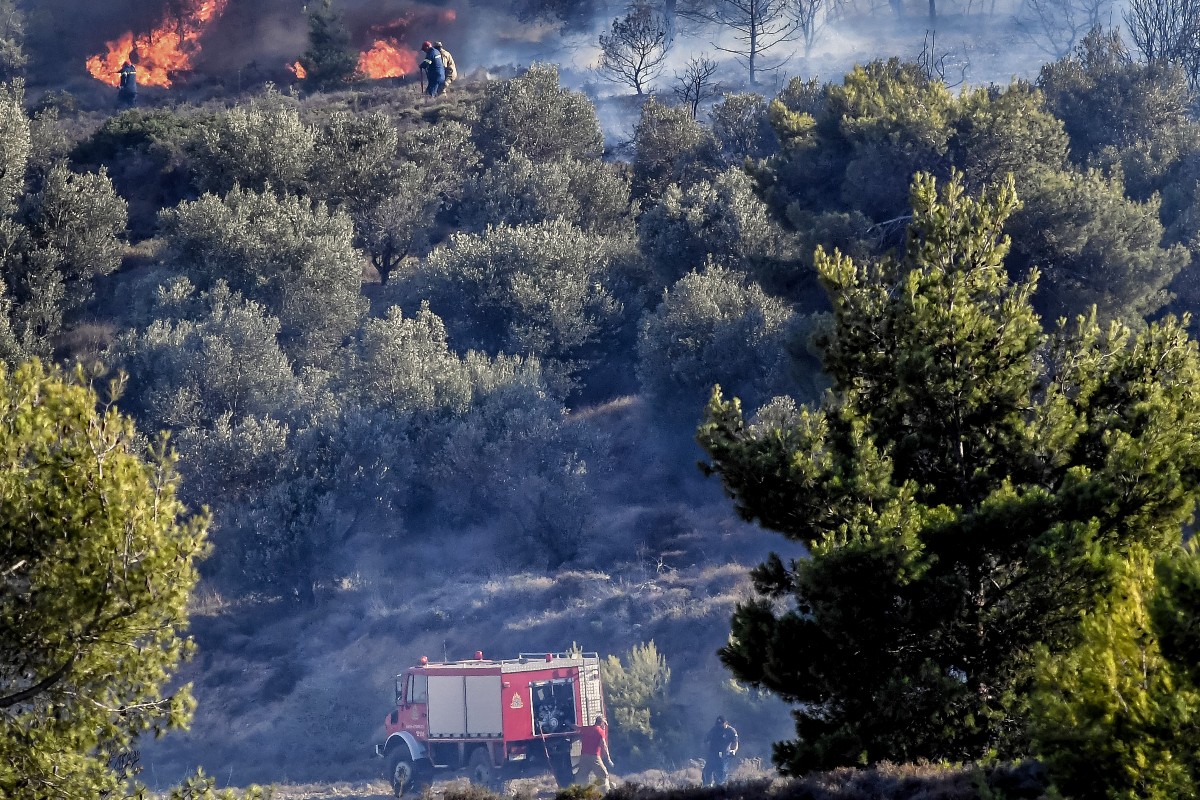 Πυρκαγιά στο Μετόχι Καρύστου Εύβοιας