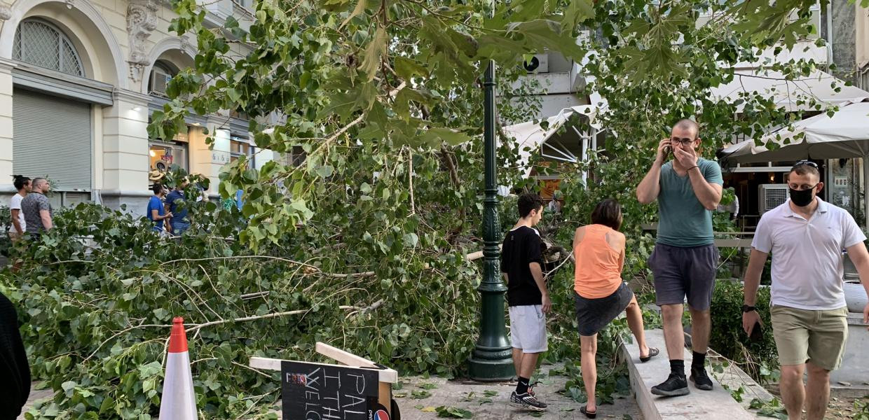 Δέντρο έπεσε σε εστιατόριο στο κέντρο της Αθήνας, την ώρα που δειπνούσαν Πάιατ και Μενέντεζ