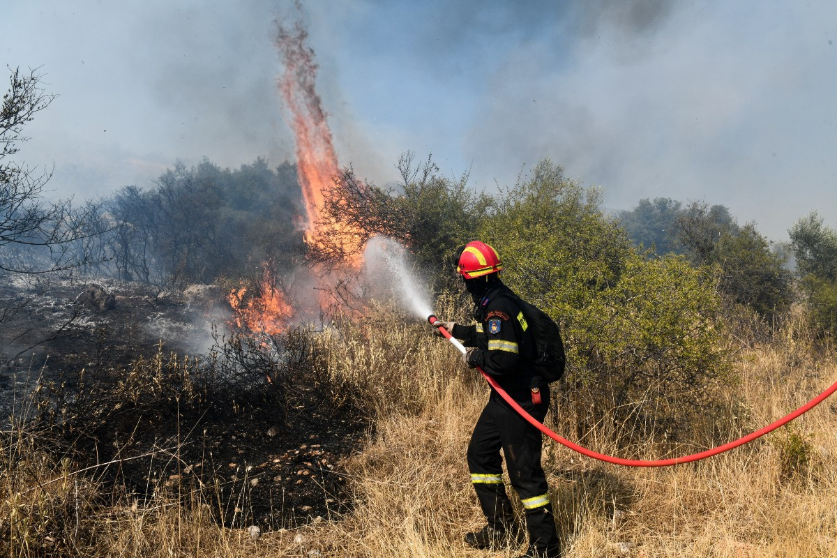Πυρκαγιές: Σκληρή κόντρα Πατούλη με τον Αττικάρχη της Πυροσβεστικής