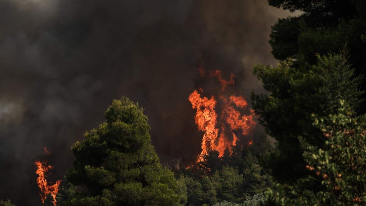 Οι Ηλείοι και οι ταγοί τους πίσω από τις απαιτήσεις της εποχής μας